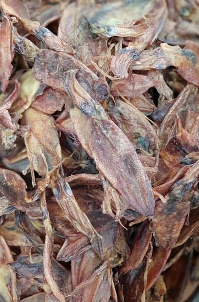 ปลาหมึกกลางคู่