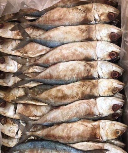 ปลาทูหอมกลาง