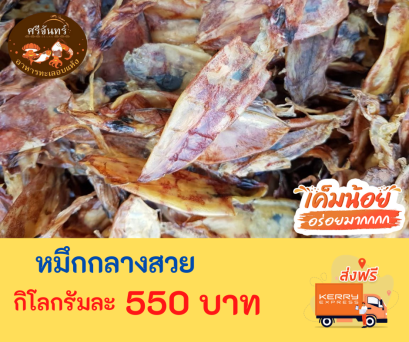 ปลาหมึกกลางสวย