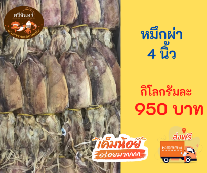 ปลาหมึกผ่า 4 นิ้ว