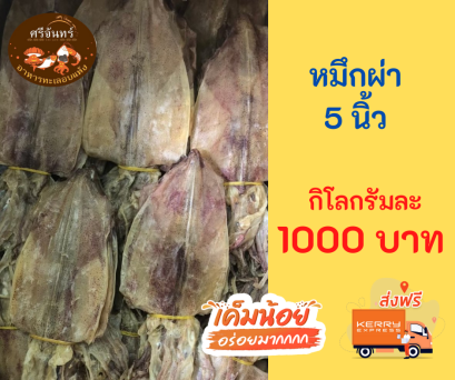 หมึกผ่า 5 นิ้ว