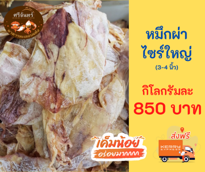 ปลาหมึกผ่า A4