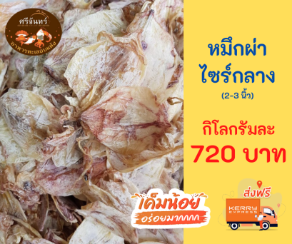 ปลาหมึกผ่า A5