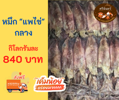 แพไข่กลาง