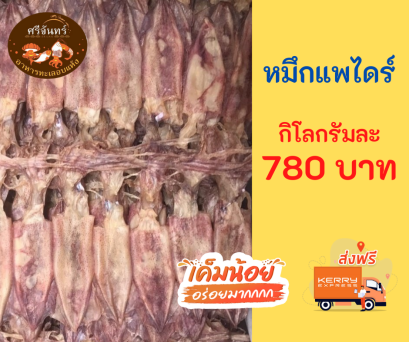 ปลาหมึกแพไดร์