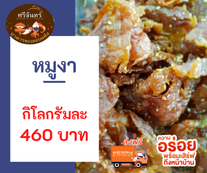 หมูงา