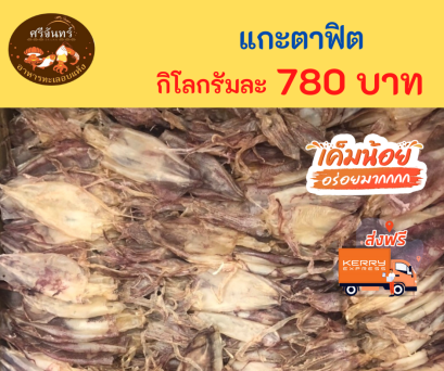 ปลาหมึกแกะตาฟิต