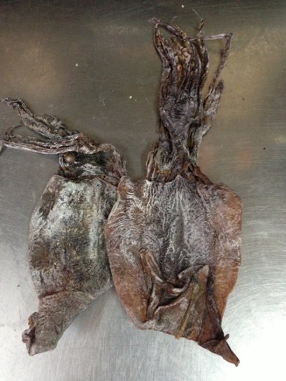 ปลาหมึกแช่ (ขายยกกระสอบ กระสอบละ 50 กก)