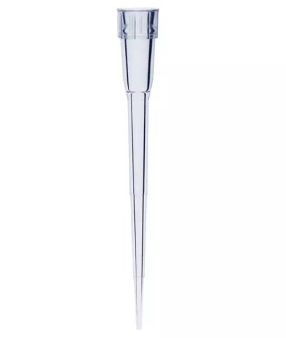 10 µl Eppendorf Pipette Tip