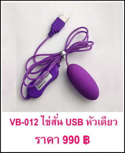 VB-012 ไข่สั่น USB หัวเดียว