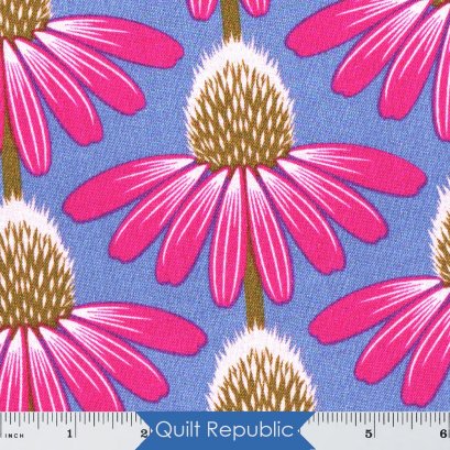 Free Spirits Pretty Potent Echinea