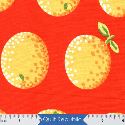 Free Spirits Fabrics Kaffe Fassete Collective Oranges Red