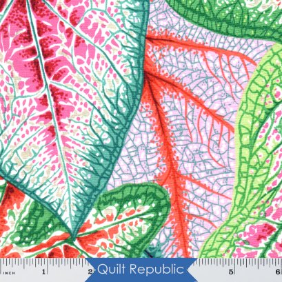 Free Spirits Fabrics Kaffe Fassete Collective Caladiums Bright