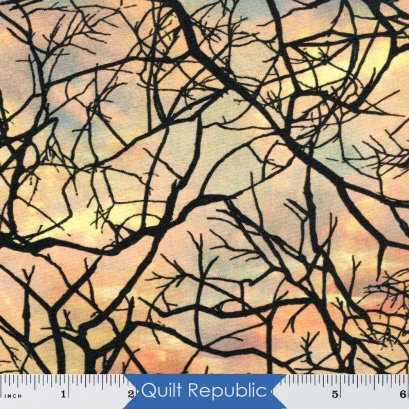 Northcott  Swept Away The View From Here  Lakeside Night Lakeside Branches