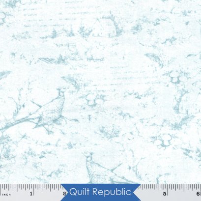 Wilmington Prints Fabrics Seeds of Gradtitute Toile Light Blue