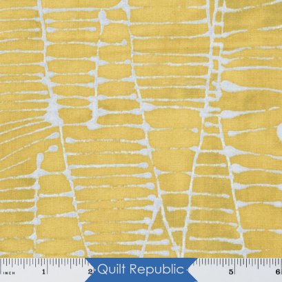 Windham Art Hisory 101 Graphic Klee Honeycomb