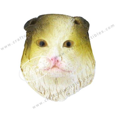 Scottish Fold