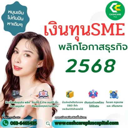 เงิน เงินทุน และ เงินก้อนพร้อมใช้ไม่เช็คภาระหนี้