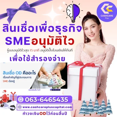 สินเชื่อเพื่อธุรกิจSMEอนุมัติไว