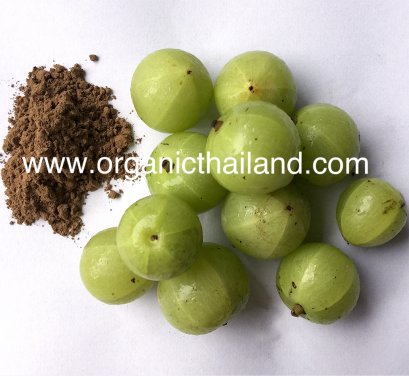 มะขามป้อม ผง 100กรัม