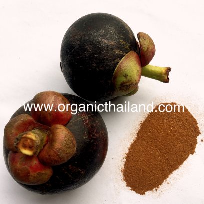 Mangosteen Rind Powder 100g