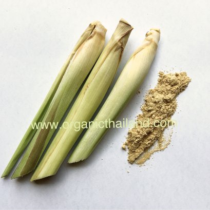Lemongrass Stalk Powder 1kg