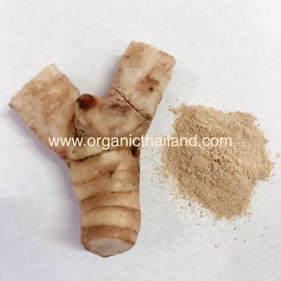 Galangal Powder 1kg