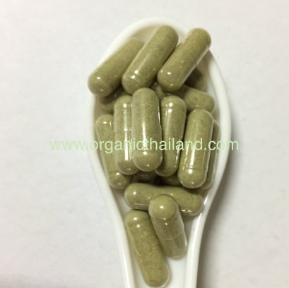 มะระขี้นกแคปซูล 1000แคปซูล