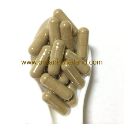 จตุผลาธิกะแคปซูล 1000แคปซูล