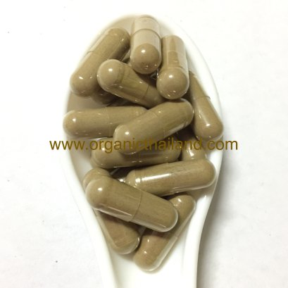 ตรีผลาแคปซูล 1000แคปซูล