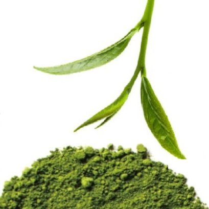 Matcha Powder 1kg