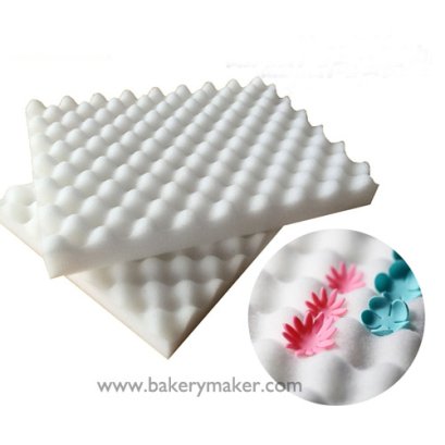 ฟองน้ำหลุม พักฟองดองท์ดอกไม้