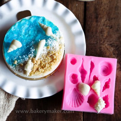 พิมพ์ฟองดองท์ รูปหอยคละ 10 แบบ