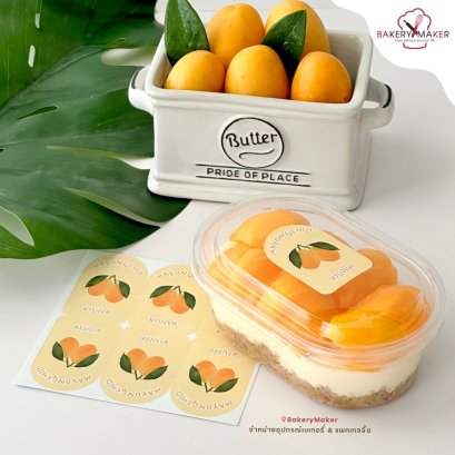 กล่องพลาสติกใส ทรงรี 10 ใบ