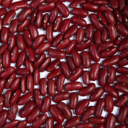 Dark Red kidney beans