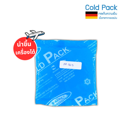 เจลเก็บความเย็น B-KOOL (100S g.)