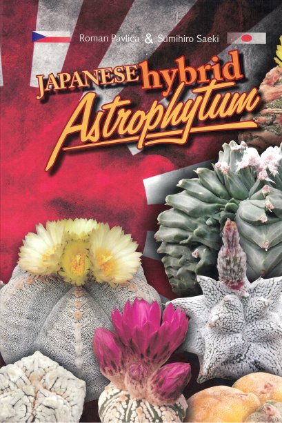 Japanese Hybrids Astrophytum (Eng)