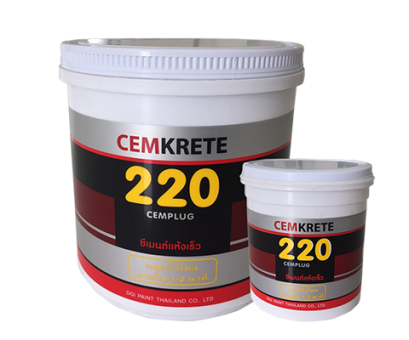 Cemplug 220