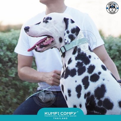 Kumfi Comfy Reflective Collar (ปลอกคอสุนัขสะท้อนแสง) ใหม่!!!