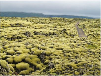 เที่ยวสแกน แดนกลาเซียร์ ไอซ์แลนด์ – สวีเดน - เดนมาร์ก 10 วัน 7 คืน-EK