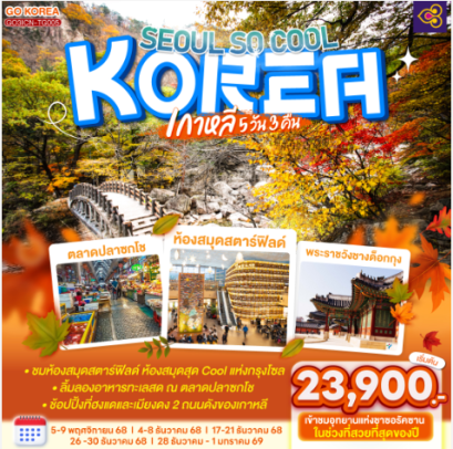 เกาหลี (KOREA) SEOUL SO COOL 5 วัน 3 คืน - TG