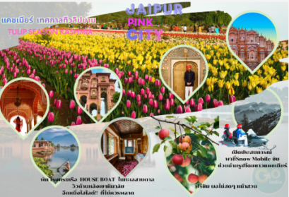 INDIA เทศกาลทิวลิปบาน แคชเมียร์ ชัยปูร์ ศรีนาคา กุลมาร์ค พาฮาลแกรม 6วัน 5คืน-AI