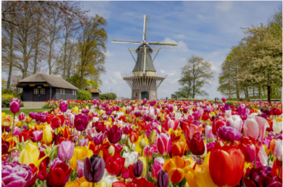 เยอรมนี - เนเธอร์แลนด์ - เบลเยี่ยม 8 วัน 5 คืน - EK