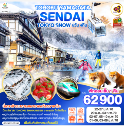 TOHOKU YAMAGATA SENDAI TOKYO SNOW 6D 4N  -TG