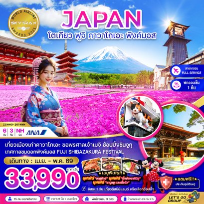 โตเกียว ฟูจิ คาวาโกเอะ พิงค์มอส (เที่ยวอิสระ 1 วัน) 6 วัน 3 คืน-NH
