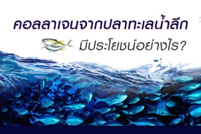 คอลลาเจน