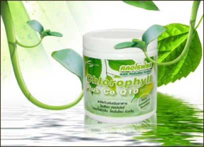 คลอโรฟิลล์ พลัสคิวเท็น