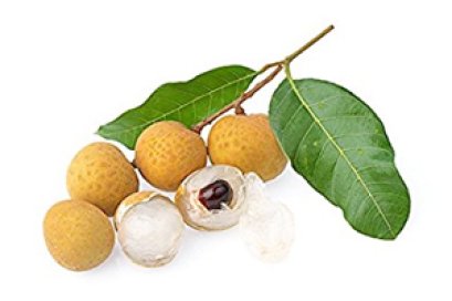 Longan