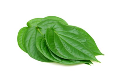 Betel leaf