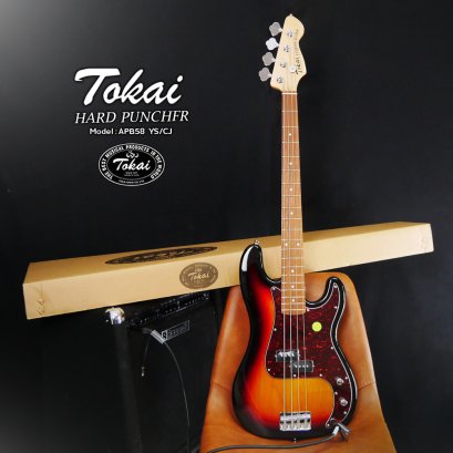 Tokai MIC (Made In China) - musicplant